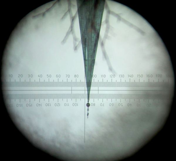 1G17 Gyrotheodolit, Artilleriecompass, Gyrocompass, Gyrotheodolite